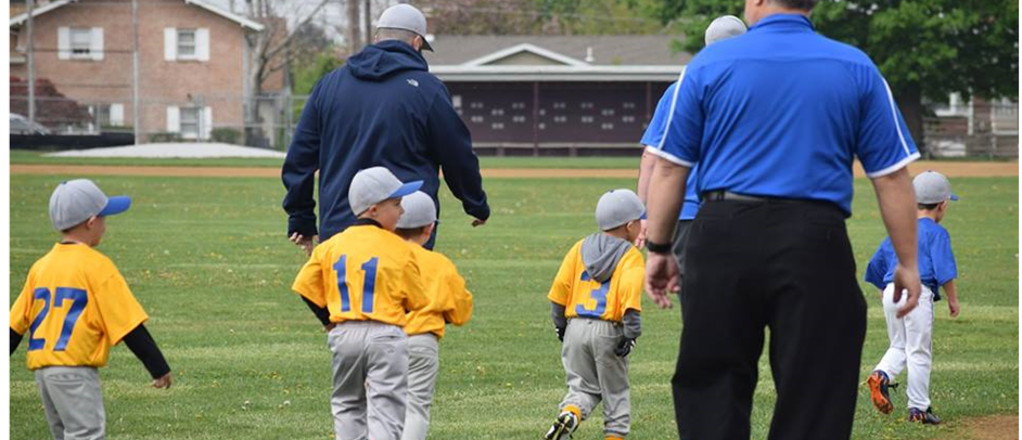 Tball, Grasshoppers, CWL & LVL Biddy, Midget, and Knee-Hi Levels